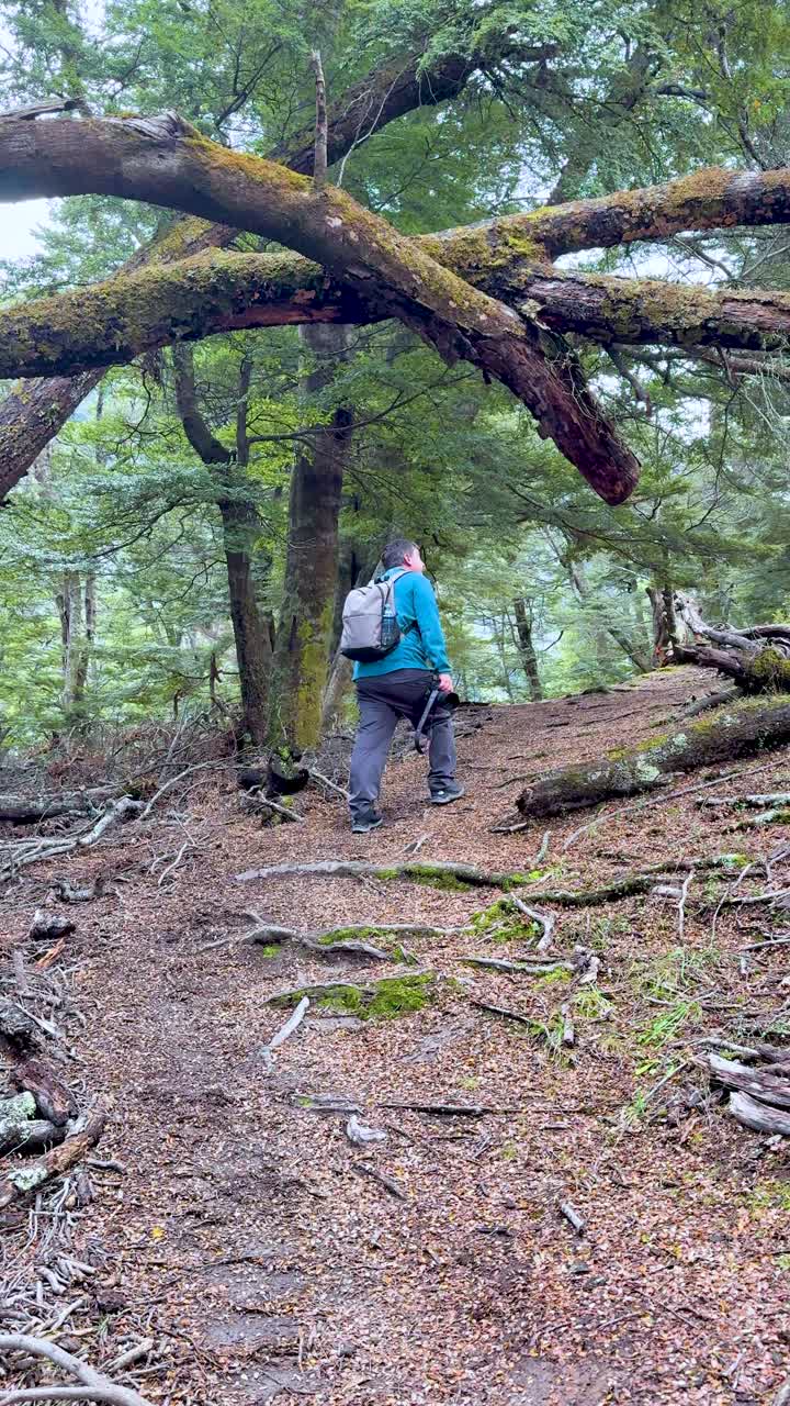 Una persona con macchina fotografica e zaino fa un'escursione in salita attraverso una foresta ricoperta di muschio e licheni, sotto la luce di un giorno nuvoloso.