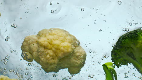 slices cabbage dropped water on white background close up. broccoli cauliflower