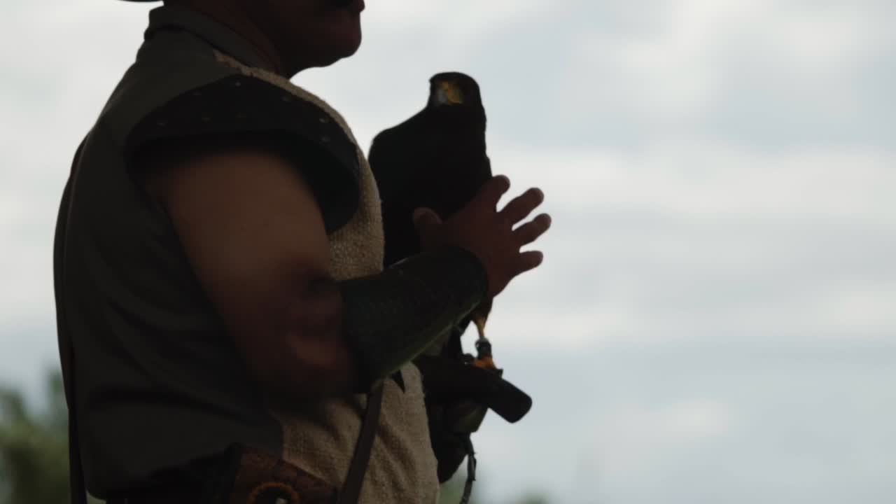 Falconer and their falcon silhouetted against the setting sun