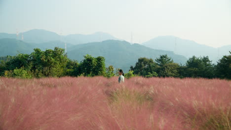 Hübsche-Frau-In-Kleid,-Die-Durch-Rosa,-Muhly-Grasland-Geht-Und-Die-Ländliche-Landschaft-Erkundet,-Dunstige-Bergkette-Im-Hintergrund-Auf-Der-Pocheon-Kräuterinselfarm-–-Weitwinkel-Parallelseiten-Dolly-Verfolgung