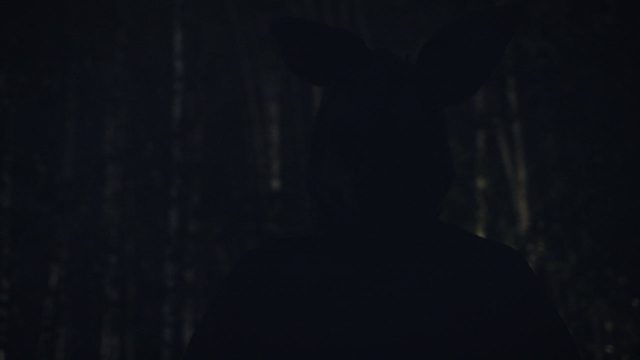 Mysterious Figure in the Woods at Night