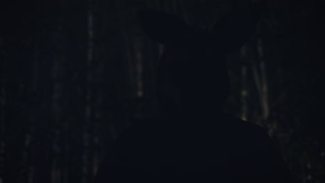 mysterious figure in the woods at night