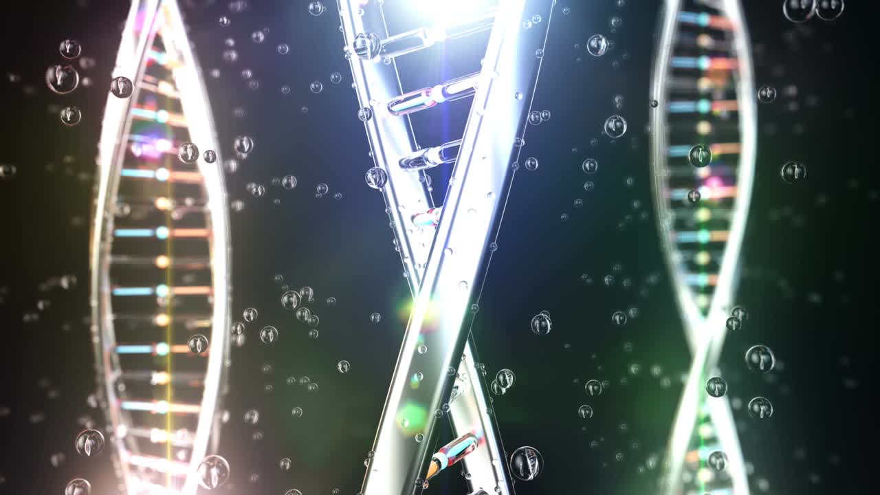 트리플 dna 스트랜드 원활한 루프