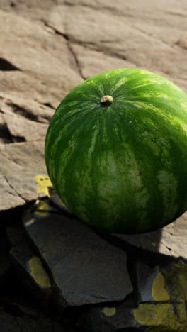 a ripe watermelon on a rock