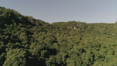 Bird's-eye-view-of-a-beautiful-jungle