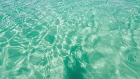 underwater wave explosion and sea water, fishes, rocks