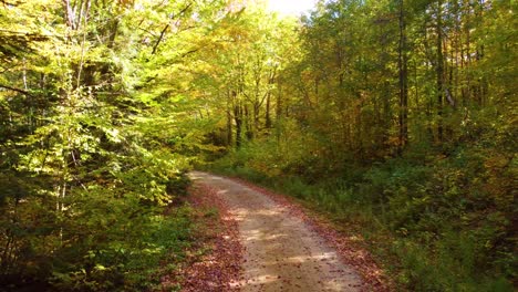 und folgen sie den hinterländischen straßen in den wäldern, während sie die wechselnde winterliche herbstsaison in der stadt montreal in quebec, kanada, genießen