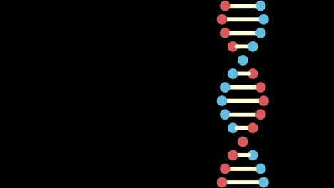animación 2d de adn en un fondo negro. el sujeto está a la derecha. 60 fps