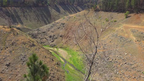 Lago-Oroville-California-Durante-Condiciones-Extremas-De-Sequía-Con-Bajos-Niveles-De-Agua-Y-árboles-Quemados