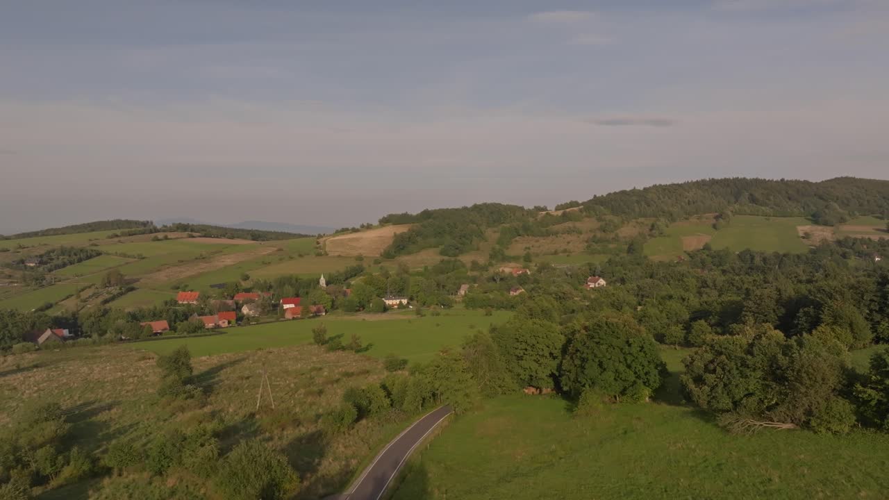 nuestra colección de naturaleza madera bosque verde imágenes de stock es la manera perfecta de traer la belleza y la tranquilidad de la naturaleza en sus proyectos de video