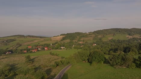 our collection of nature wood forest green stock footage is the perfect way to bring the beauty and tranquility of nature into your video projects