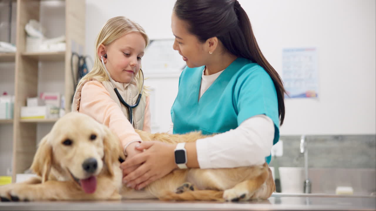 Stethoscope, vet and a girl with her puppy