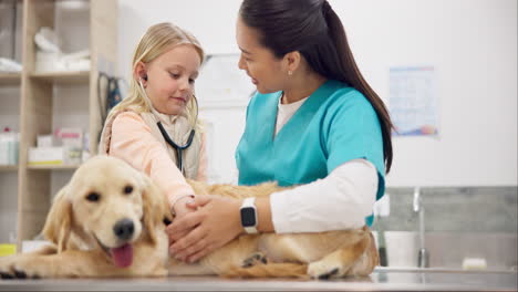 stethoscope, vet and a girl with her puppy