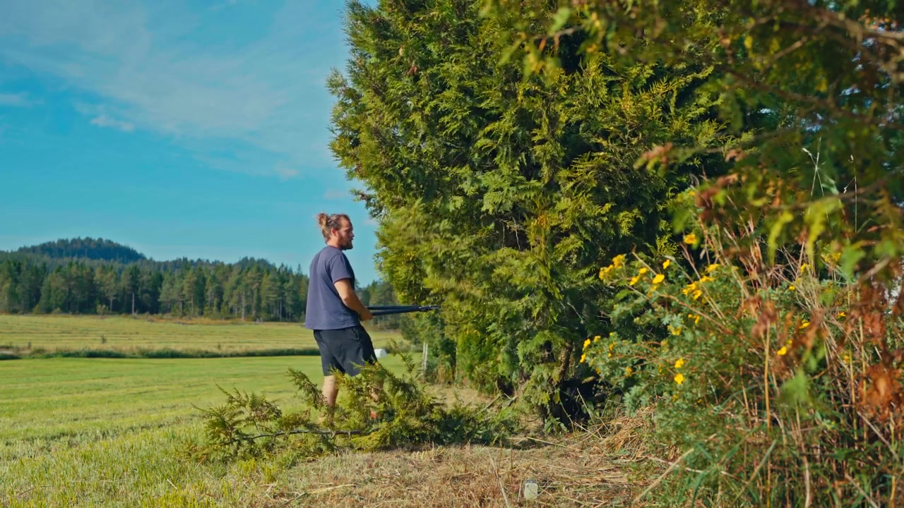 A Man is Trimming Branches From a Large Tree in a Grassy Field - Medium Shot