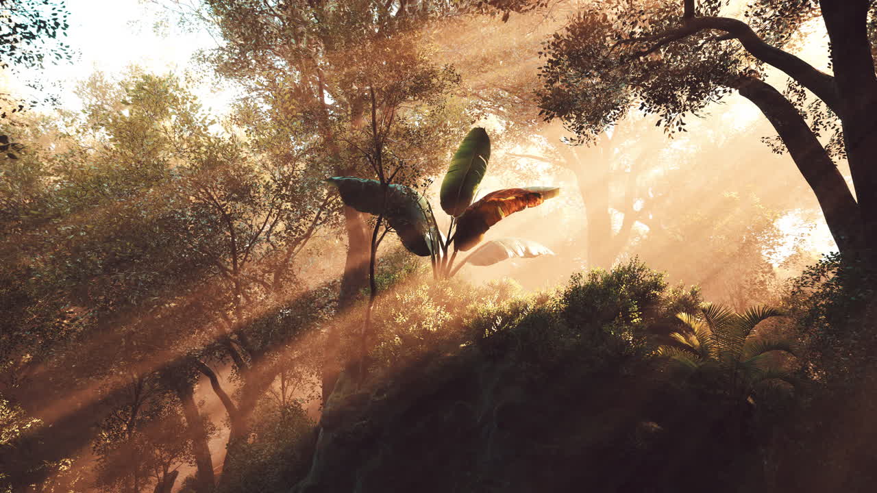 rayos de sol brillando a través de un exuberante bosque tropical