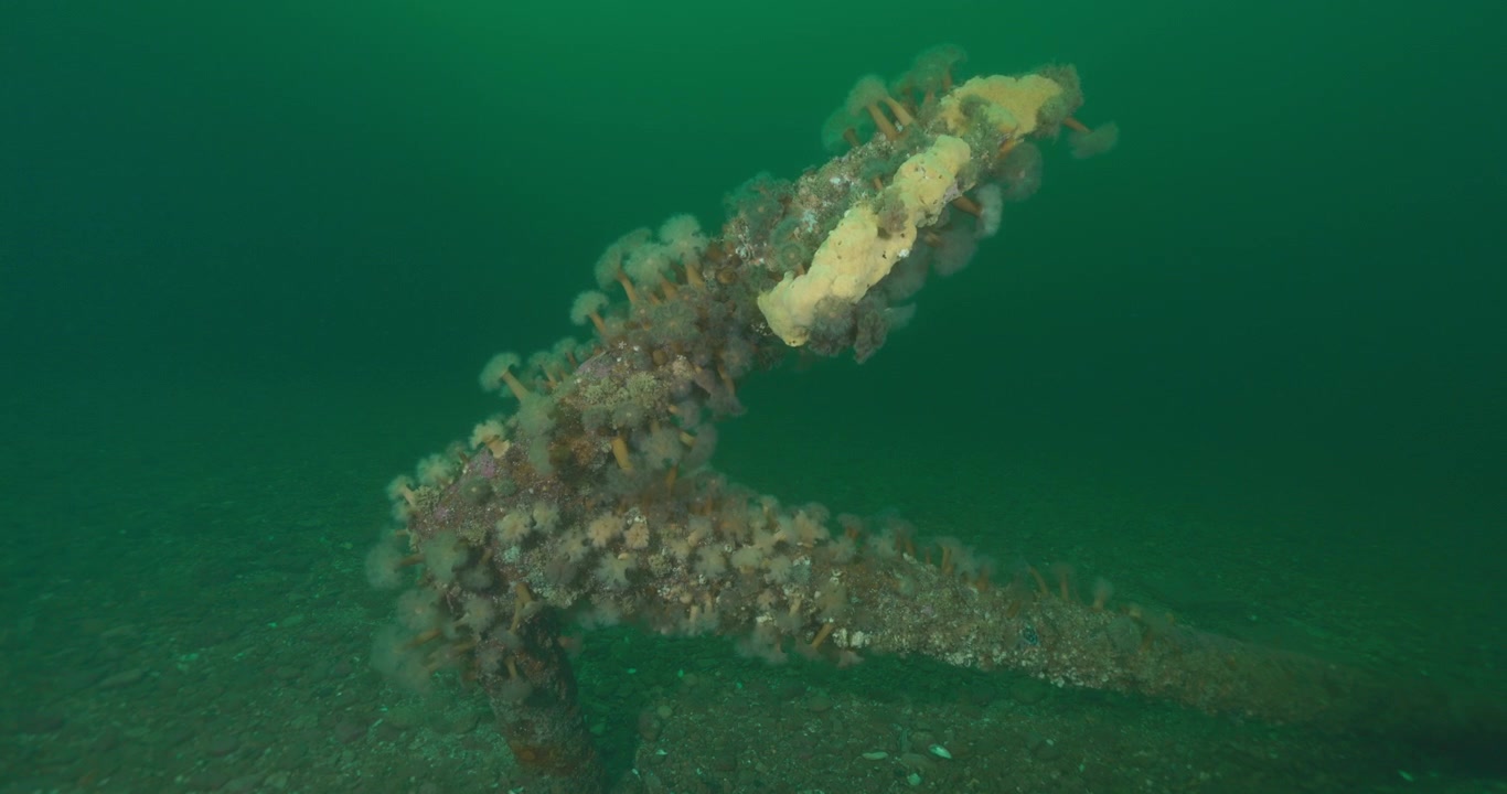 Vecchia ancora di barca in piedi sul fondo dell'oceano