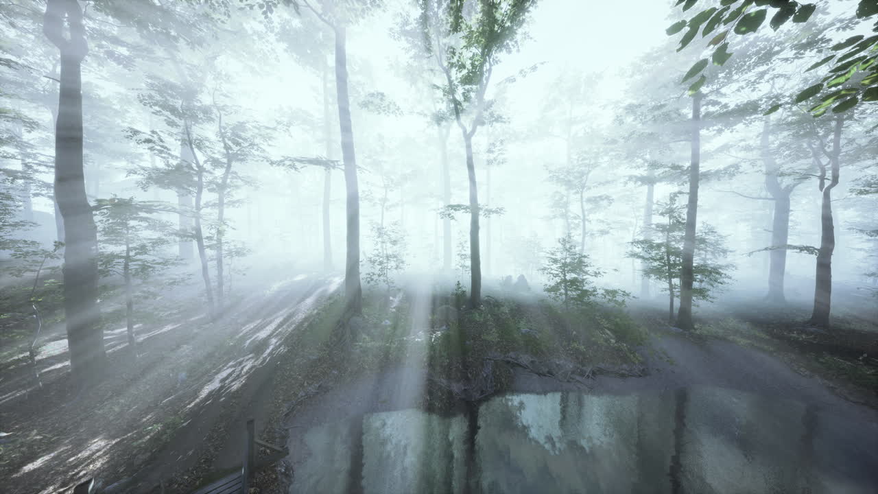 fpv 드론 이 숲 에 있는 높은 나무 들 을 통해  ⁇ 고 있다