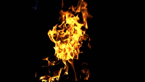 bonfire. the fire is lit in the night. slow motion