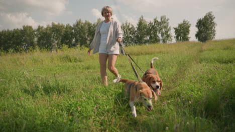 dog trainer walking with two dogs on leash in grassy field as dogs enthusiastically pull forward with tongues out under sunny sky, background featuring greenery and trees