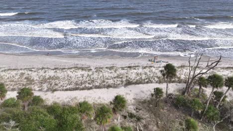 aerial view of a beautiful beach with people