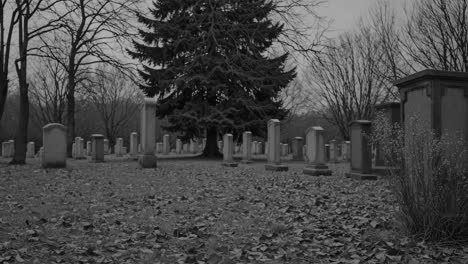 A low-angle video shot of a serene, leaf-covered cemetery in grayscale, capturing rows of tombstones