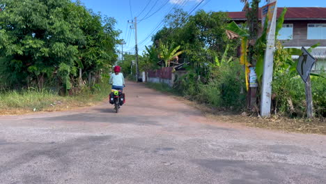 a stationary panning footage of a commuting woman riding her bike with panniers passing by a road junction and takes a detour