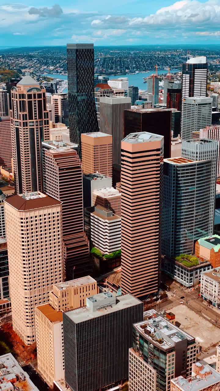 American city buildings aerial view. Urban architecture metropolis. Vertical video