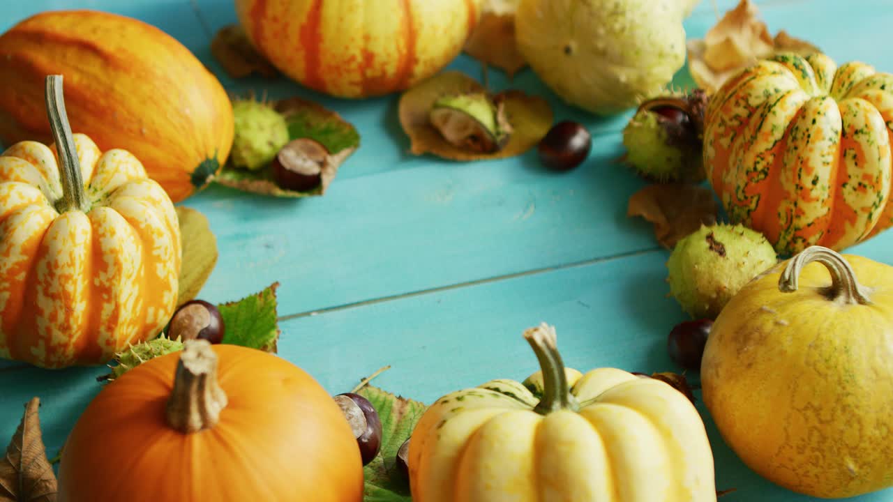 calabazas y castañas puestas en círculo
