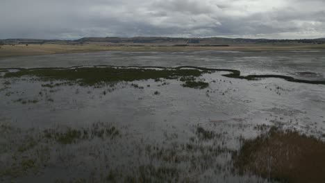 Aerial-drone-footage-of-a-swamp-with-the-beautiful-windmills-in-the-background