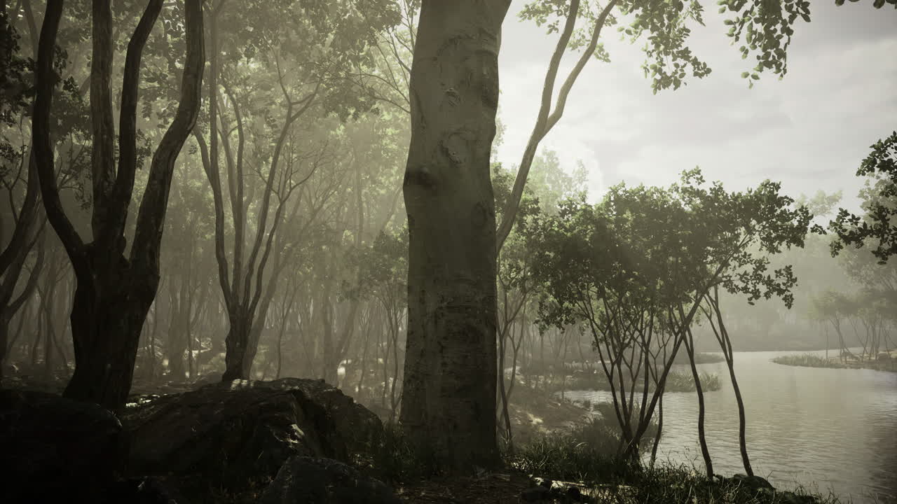 Mysterious forest oasis enveloped in soft mist under the gentle sunlight