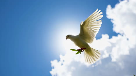 white dove flying with an olive branch against a bright blue sky