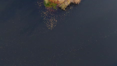 Luftaufnahme-Des-Schönen,-Glatten-Grünen-Wassers-Eines-Sees-An-Einem-Sonnigen-Herbsttag