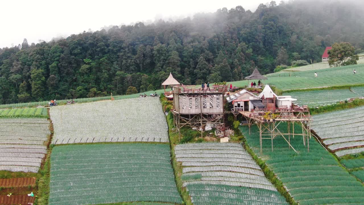 Small wooden hut in middle of lonjang plantation in Indonesia, aerial view