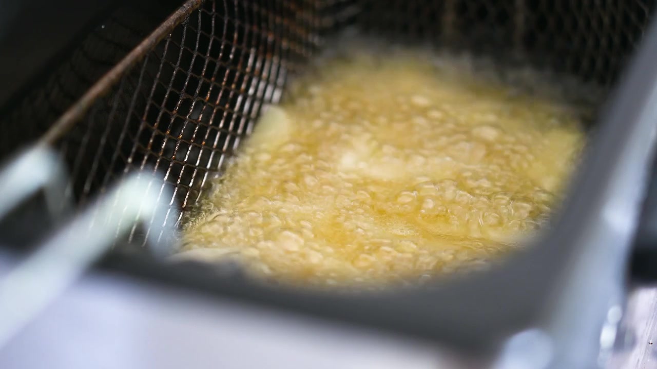 Deep Fryer Cooking French Fries in Hot Oil