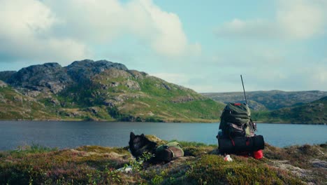 a dog with a backpack by its side is resting on the shore of pålvatnet in osen, trøndelag county, norway - static shot