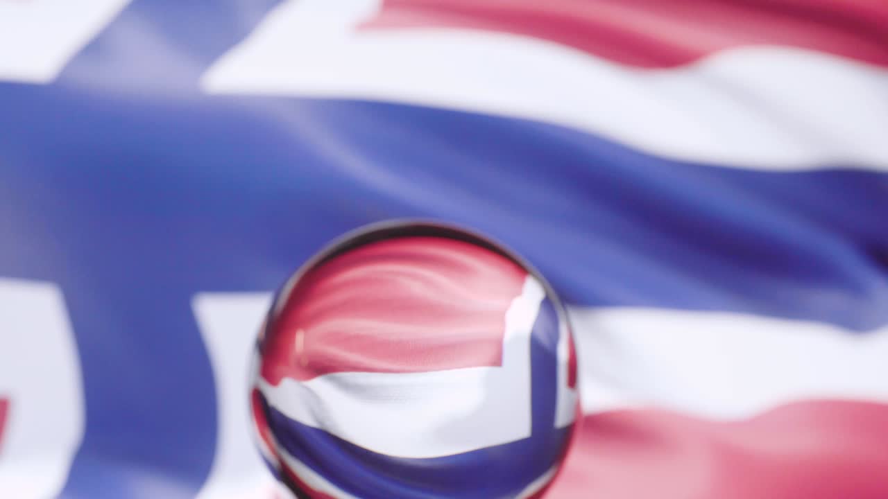 노르웨이 발은 4k에서 파란 하늘을 향해 흔들리고 있습니다.