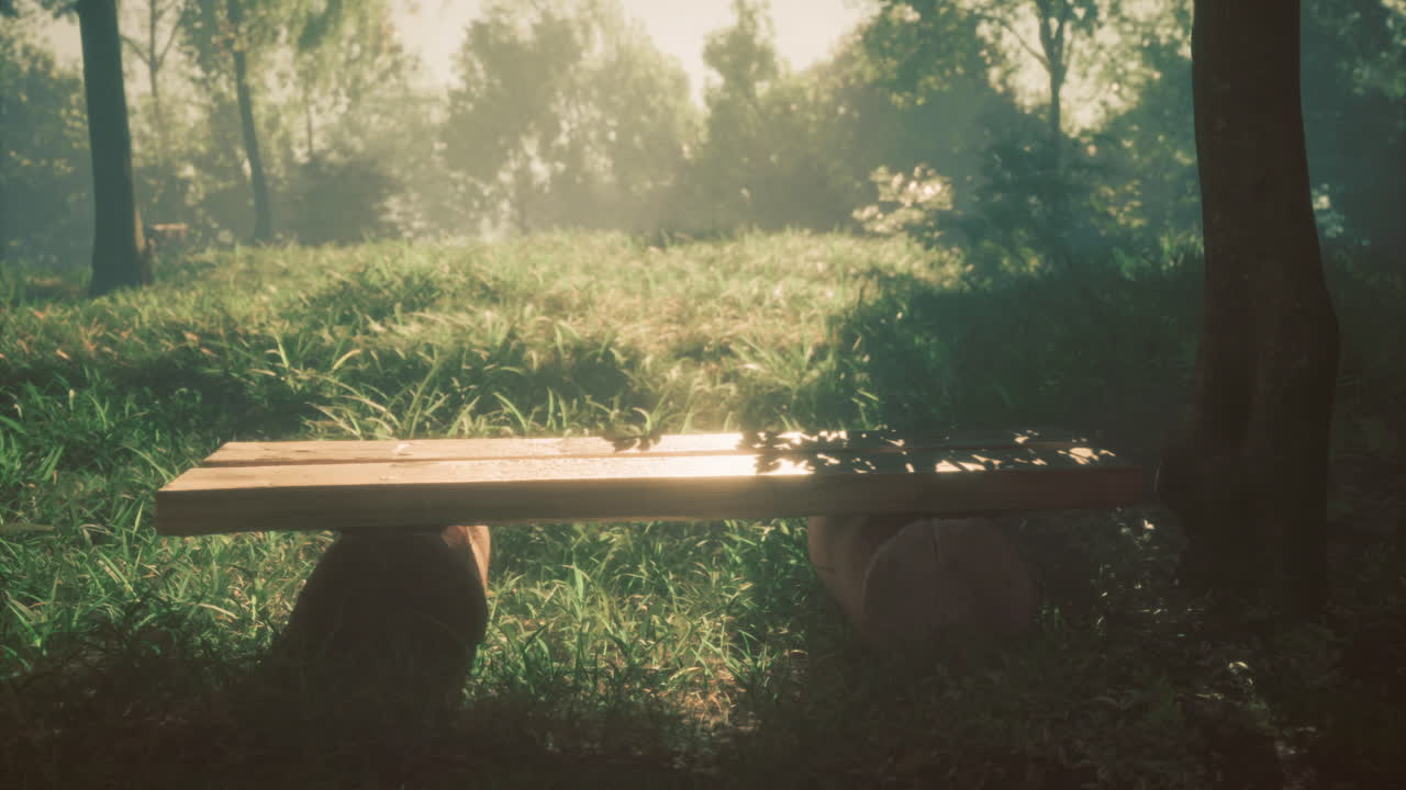 Wooden bench in a tranquil park surrounded by sunlight and greenery