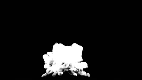explosión de bomba en pantalla verde con negro y mate mate. tamaño 4k. diseño de ilustración 3d.