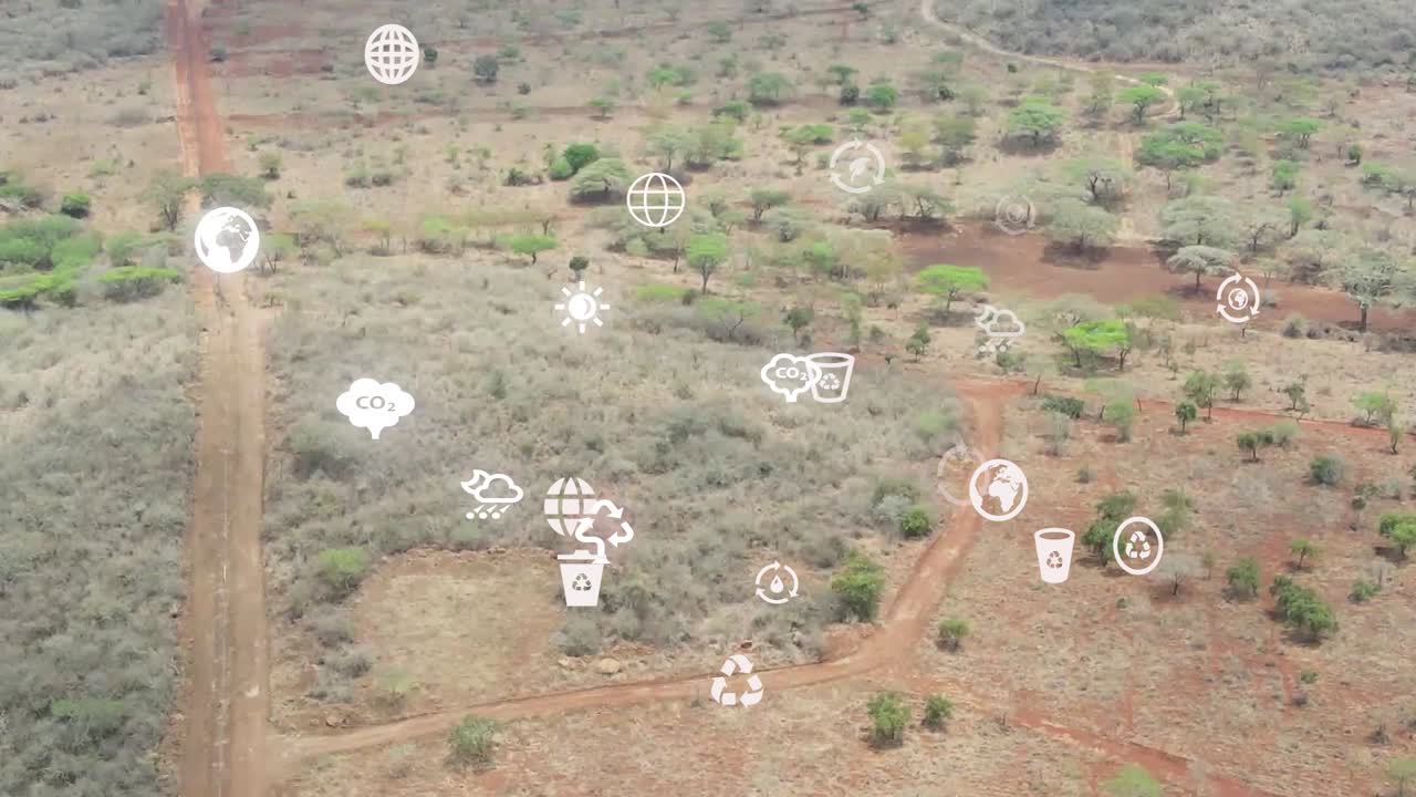 vista aérea futurista de drones de la cobertura forestal