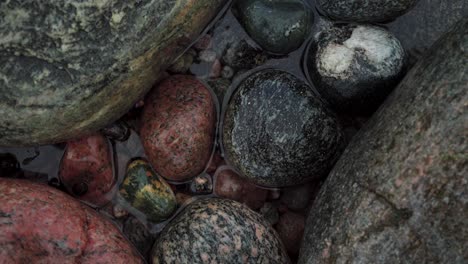 piedras naturales de río en un parque forestal