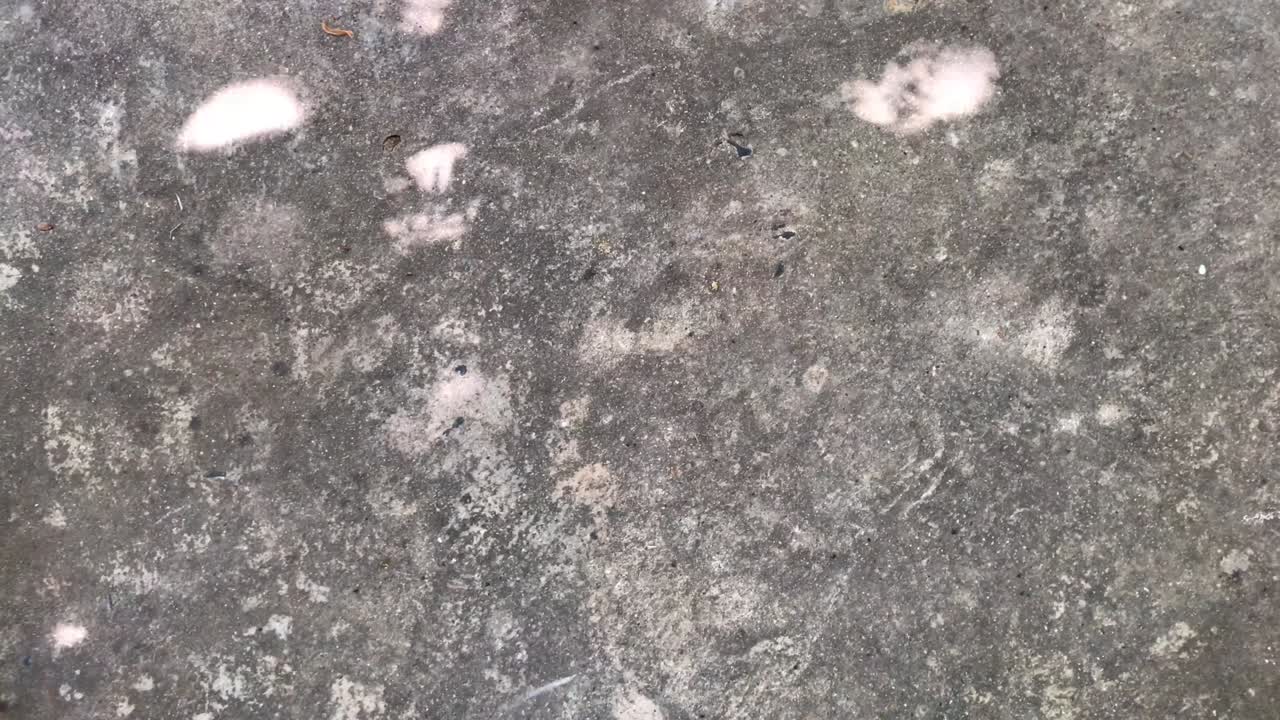 expresión de cooperación