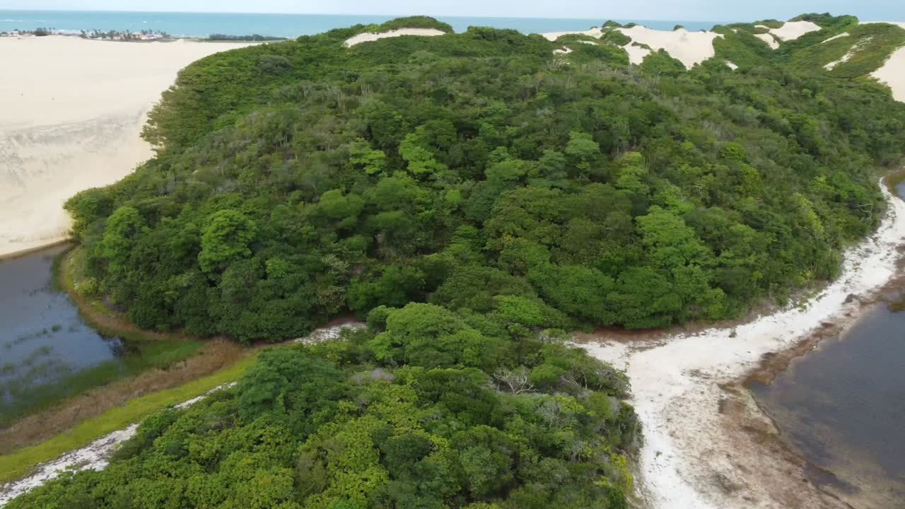 drone k 전설적인 브라질 해변의 나탈 브라질