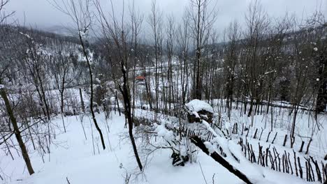 Amplia-Vista-Panorámica-De-La-Temporada-De-Invierno-En-La-Vida-Rural-Fuertes-Nevadas-En-Un-Pueblo-De-Montaña-En-El-Bosque-De-Hircanian-Paisaje-Natural-Vida-Maravillosa-En-La-Montaña-Gente-Local-Agricultura-Techo-Cubierto-De-Nieve