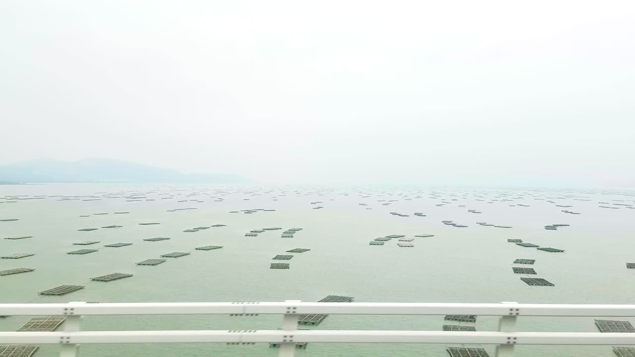 Hong Kong fish raft planting on the sea next to the road, agriculture and fishery industry