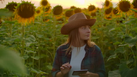 Una-Niña-Camina-Por-El-Campo-Con-Girasoles-Y-Los-Examina.-Ella-Escribe-Sus-Características-En-Un-Libro-Electrónico.