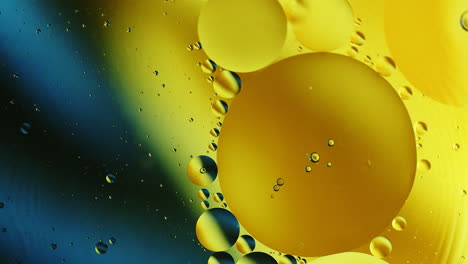 real close up oil bubbles in water rotation with color gradient abstract mixing background