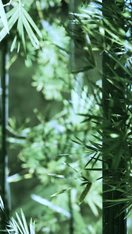 close up of green bamboo leaves in a tropical forest