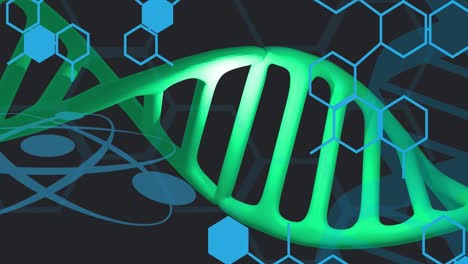 Animation-Der-Wissenschaftlichen-Datenverarbeitung-Und-Des-Spinnens-Von-DNA-Strängen