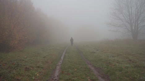misty rural environment, countryside track, young woman walking alone