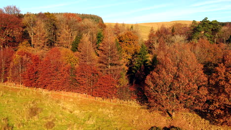 a scottish hillside in its full autumn colours-1